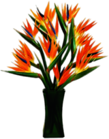 Bird Of Paradise Flowers In A Vase