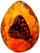 Amber Pendant With Butterfly