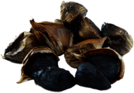 Black Garlic