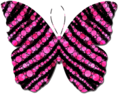 Pink and Black Circles Butterfly Clipart