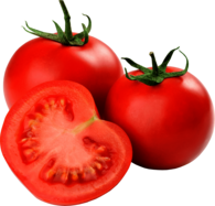 Group Of Tomatoes