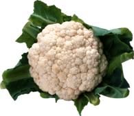 Cauliflower Small