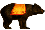 Circus Bear