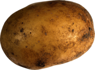 Single Potato