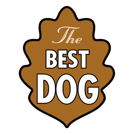 The Best Dog