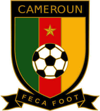 Cameroun 2010