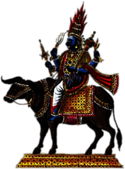 Yama on Water Buffalo