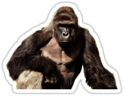Harambe Sticker