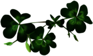 Shamrock Multiple