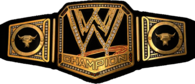 WWE Champion Belt