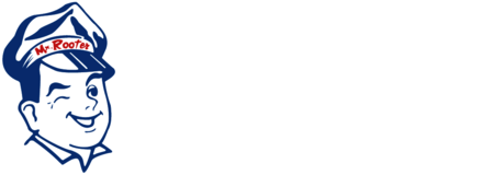Mr. Rooter