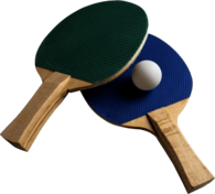 Ping Pong Bats Ball