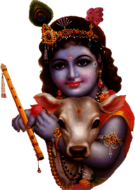 Lord Krishna Close Up