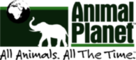 ANIMAL PLANET 1