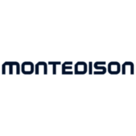 Montedison