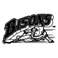 Buffalo Bisons