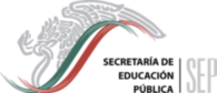 Secretaria De Educacion Publica