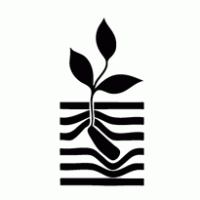 Dax Decoração e Ambiente