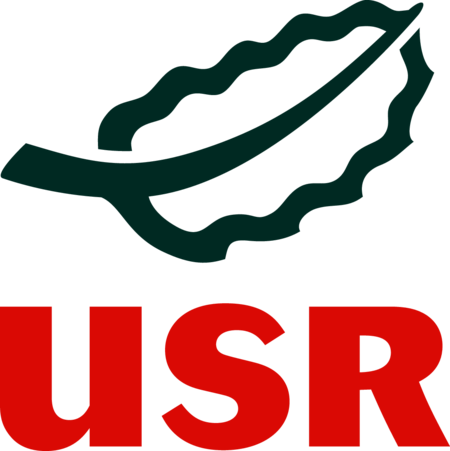 Unión por San Roque