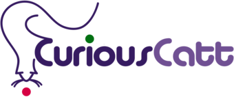 CuriousCatt Boutique