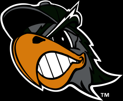 South Bend Silver Hawks