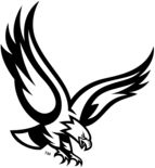Boston College Eagles