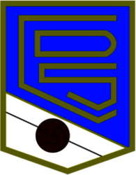 Club Deportivo Sari&ntilde;ena