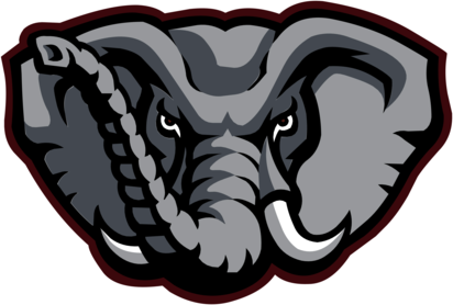 Alabama Crimson Tide