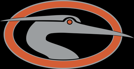 Delmarva Shorebirds