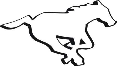Calgary Stampeders