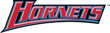 Delaware State Hornets