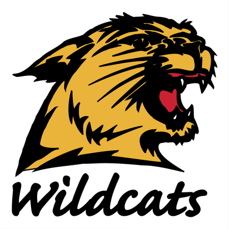 NMU Wildcats