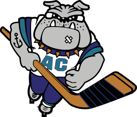 Atlantic City Boardwalk Bullies