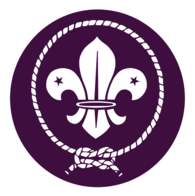 World scout movement