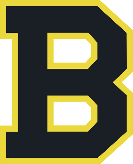 Boston Bruins