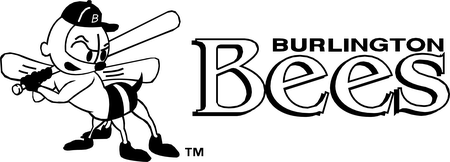 Burlington Bees