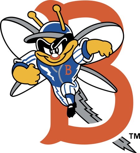 Binghamton Mets 58218