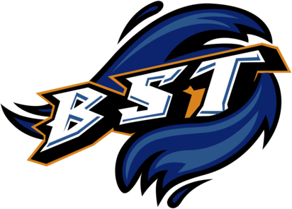 Bridgeport Sound Tigers 76863