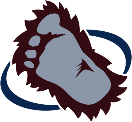 Colorado Avalanche