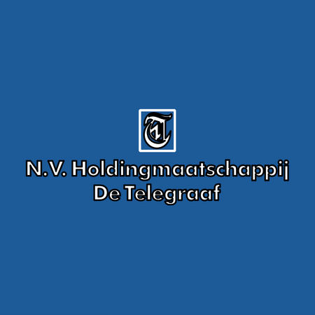 N V Holdingmaatschappij De Telegraaf
