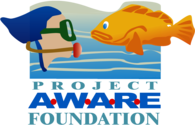 project aware foundation