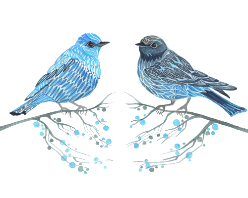 Blue Birds