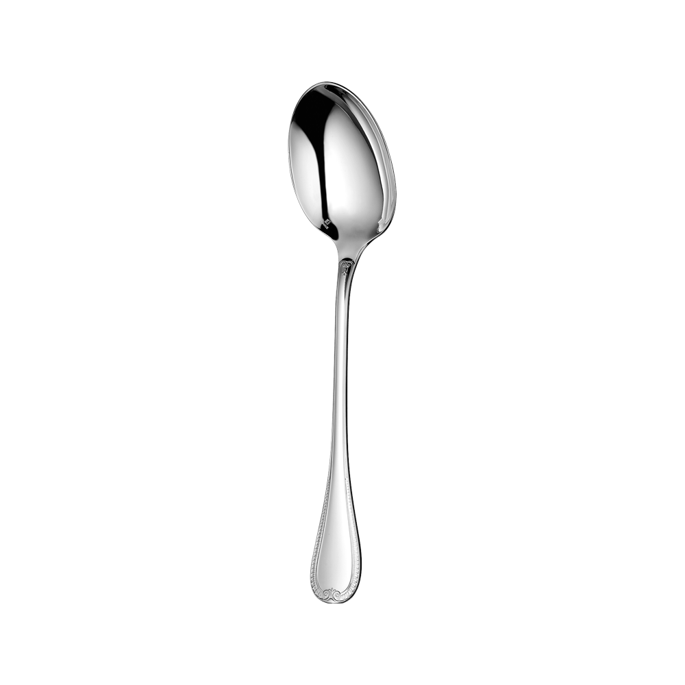 Silver Spoon