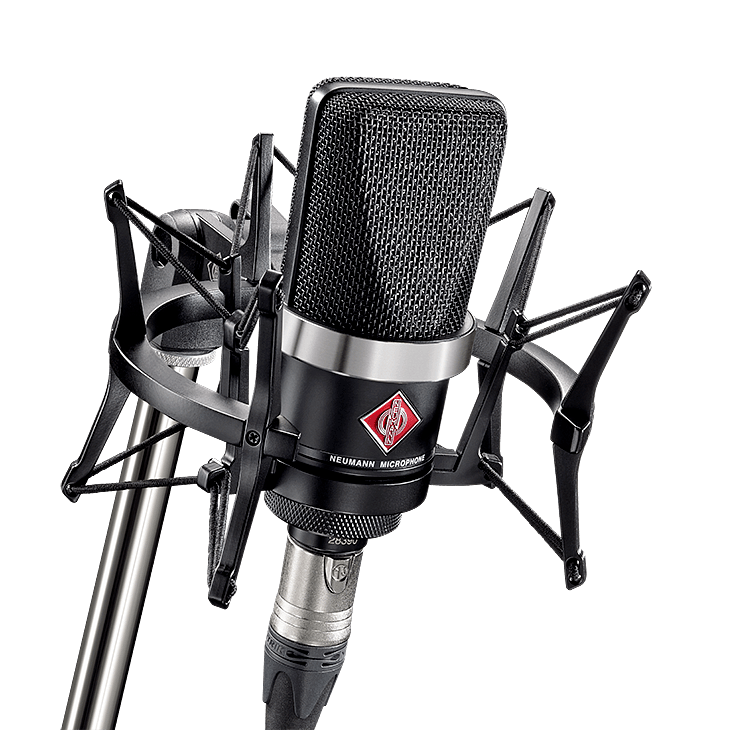 Neumann TLM 102 Studio Microphone