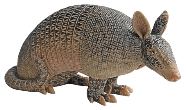 Armadillo Garden Statue