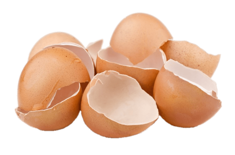 Cracked Eggshells