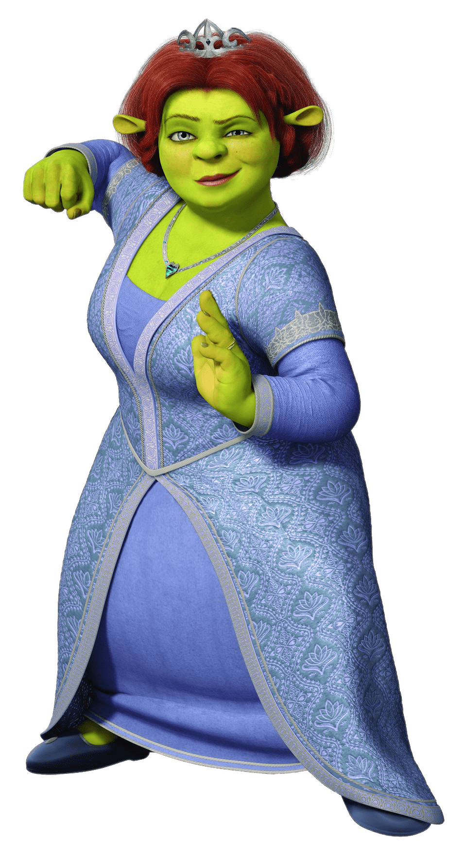 Princess Fiona Fighter