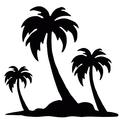 Palm Trees on Island