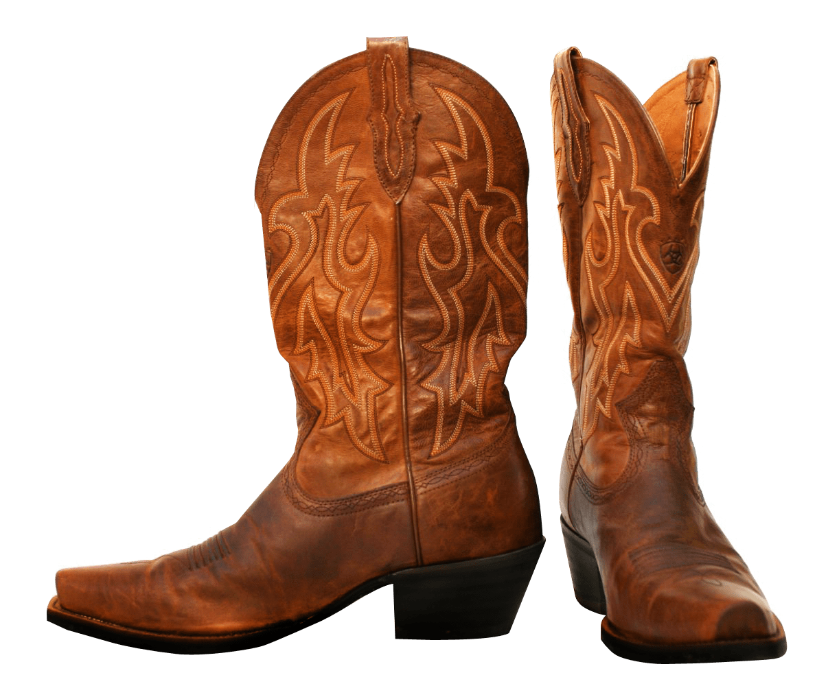 Pair Of Cowboy Boots