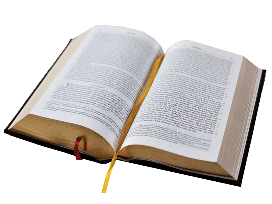 Open Bible Book